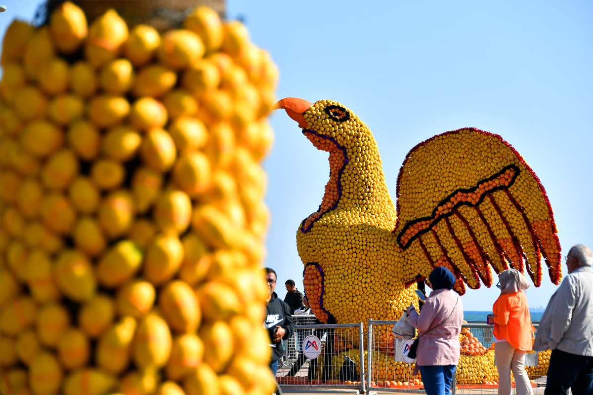 Mersin Narenciye Festivali